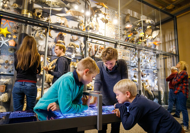 Museum für Naturkunde